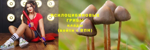 бутират Арсеньев