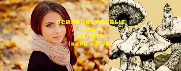 дживик Алексин