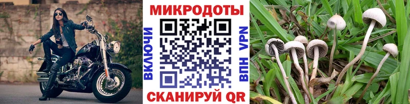 Галлюциногенные грибы мухоморы Волгодонск