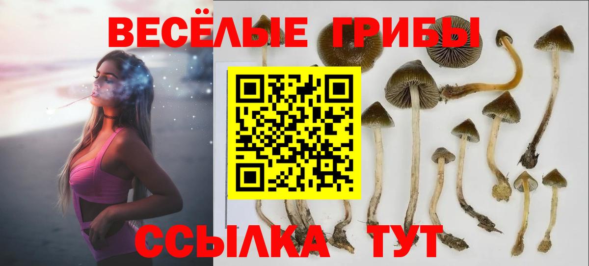 Псилоцибиновые грибы прущие грибы  Вход с VPN  купить наркотик  Волгодонск 